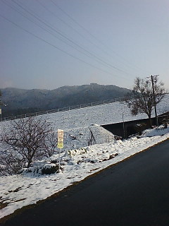 ��n���ė���