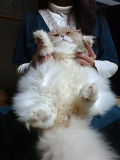 �o���U�[�C