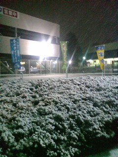 �Ⴊ�~���Ă��܂�