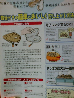 �ނ������}�j���A��