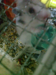 �n�������