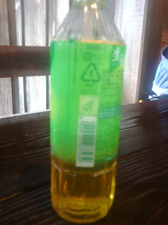 �f�B�Y�j�[���ꂱ��