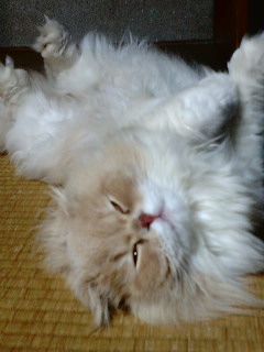 ���h��������