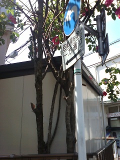 ���̃o���c