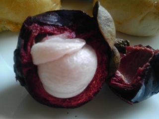 �}���S�X�`�����g