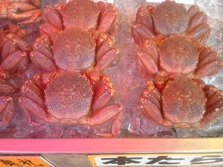 �V���������ς�