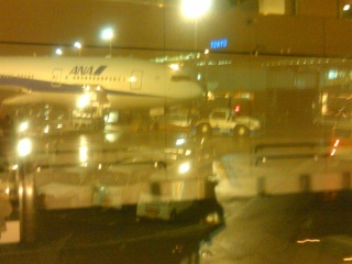 �A���Ă����I