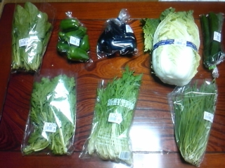 ���ꂾ��������