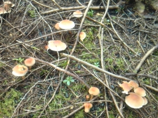 �N���^�P������