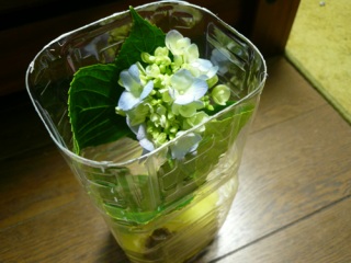 �����邿���