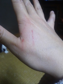 �Ђ������ꂽ(;�L�t�M)