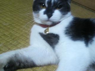 ��փf�r���[