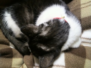 �������܁`