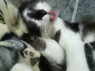 �y���y��