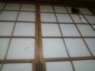 ���]�k�����āc