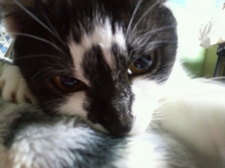 ���j���I���^(^3^)/