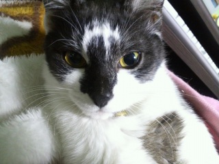 �ǂ���(*�L�ށM*)