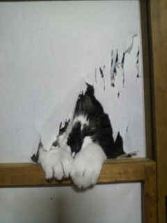 ����������q�̏u��2