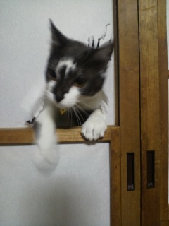 ����������q�̏u��3