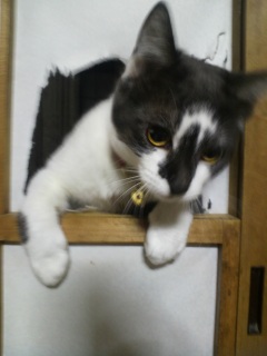 ����������q�̏u��4