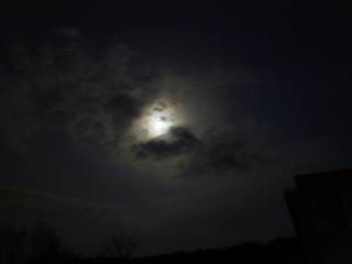 �����͖��邢