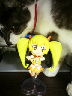 �����̃`�R�����