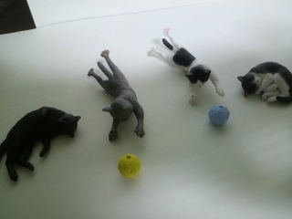 ���A���L�����t�B�M���A