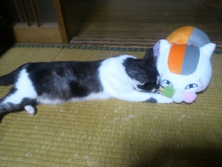 �`�R�����ƃj�����R�搶