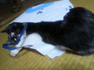 �ܑ�D���A(���ܕ�)