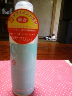 �L�p�V�����v�[