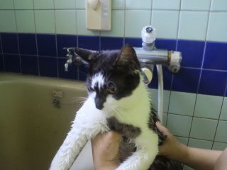 �`�R�����V�����v�[��