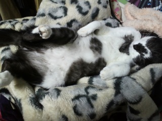 �������i�D