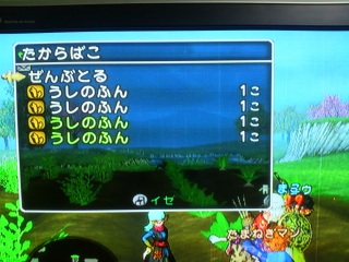 ����͍���������