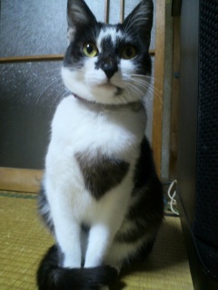 �����ۃ}�t���[