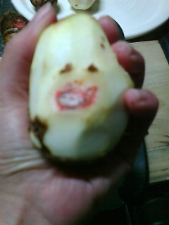 �L���痢��