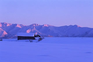 �Ŕj�������E�E�E