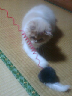 ���ӂ��ӑ�3�e(*�L�t�M*)