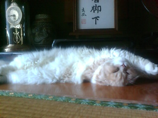 ���ӂ��ӑ�5�e(*�L�t�M*)