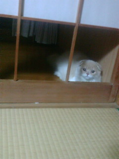 ���ӂ��ӑ�8�e(*�L�t�M*)