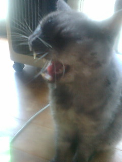 ���ӂ��ӑ�7�e(*�L�t�M*)